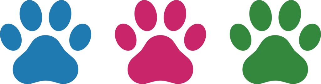 three paws