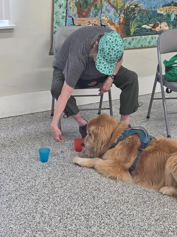 Indoor Dog Training