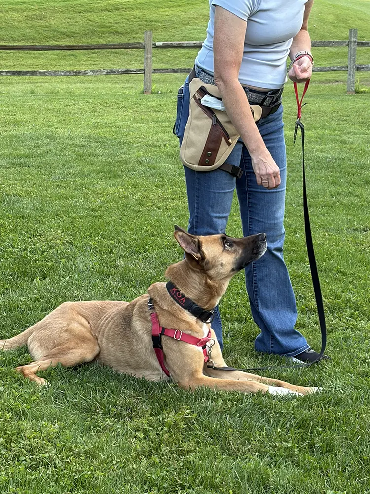 Dog with trainer outside
